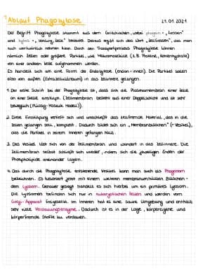 Know Ablauf der Phagozytose thumbnail