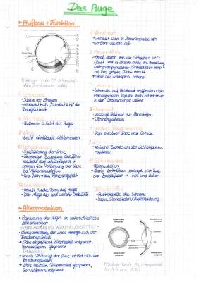 Know Das Auge - Neurobiologie - thumbnail