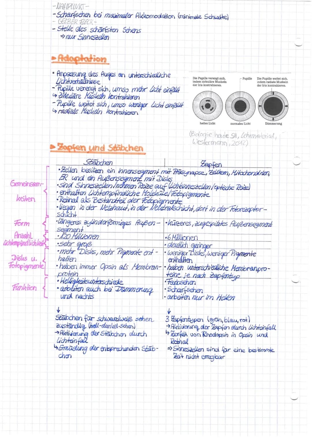 Aufbau + Funktion
0
Das Auge
Blinder Fleck
5
6
(Biologie heute Si Jehomaten-
alien westermann, 2012,
14 Lederhaut
-Schutz vor
Erregern
-ermö