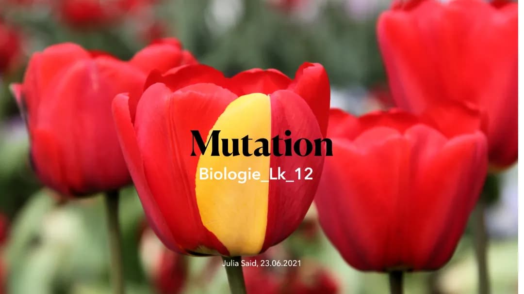 Mutationen