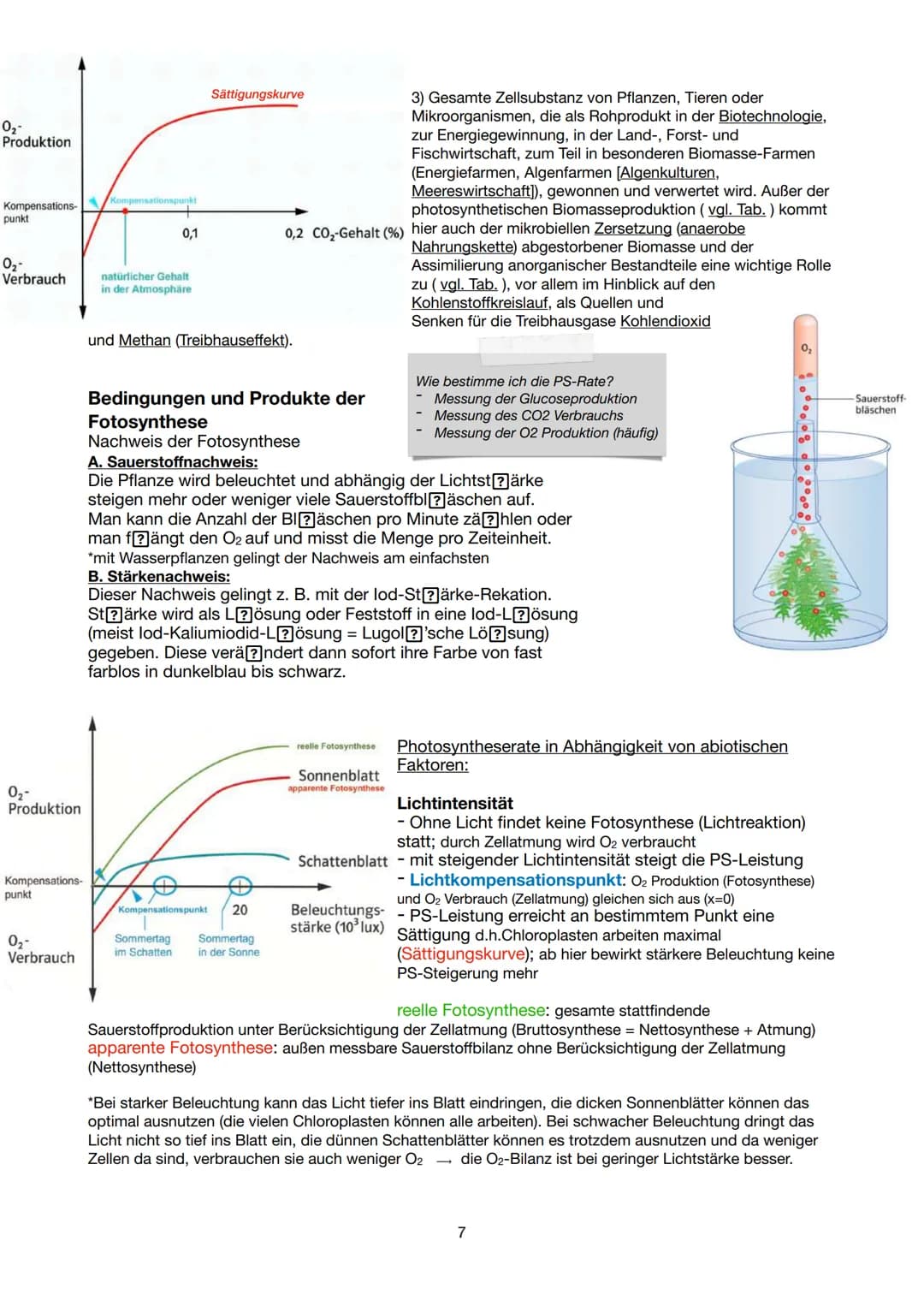 Festigungsgewebe
Chloroplast
Biologie Lernzettel 13/1 KA-1
LPE 5: STOFF- UND ENERGIEBEREITSTELLUNG
Der Stoff- und Energiewechsel ist die Auf