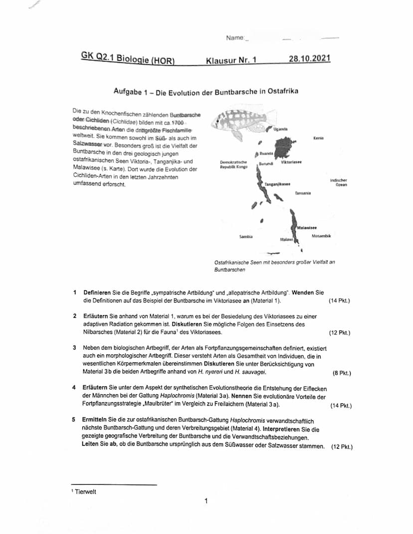 GK Q2.1 Biologie (HOR)
Die zu den Knochenfischen zählenden Buntbarsche
oder Cichliden (Cichlidae) bilden mit ca. 1700
beschriebenen Arten di