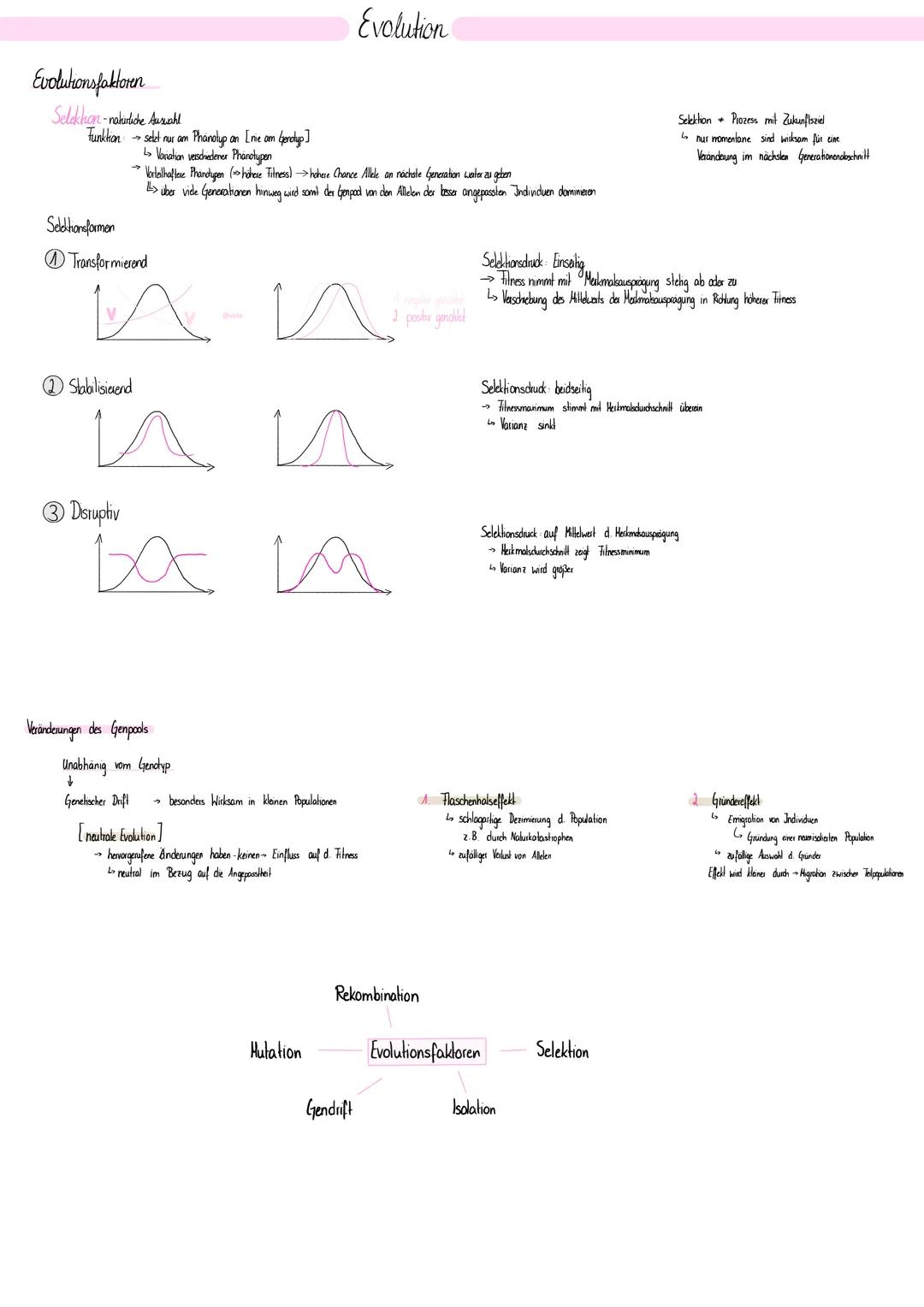 # Evolution

Evoluronsfaktoren

Selakhon-nahiniche Auszahl

Funktion selet nur am Phanolup an [ne am Gerolyp]

> Vanahon vesdiedener Phanotu