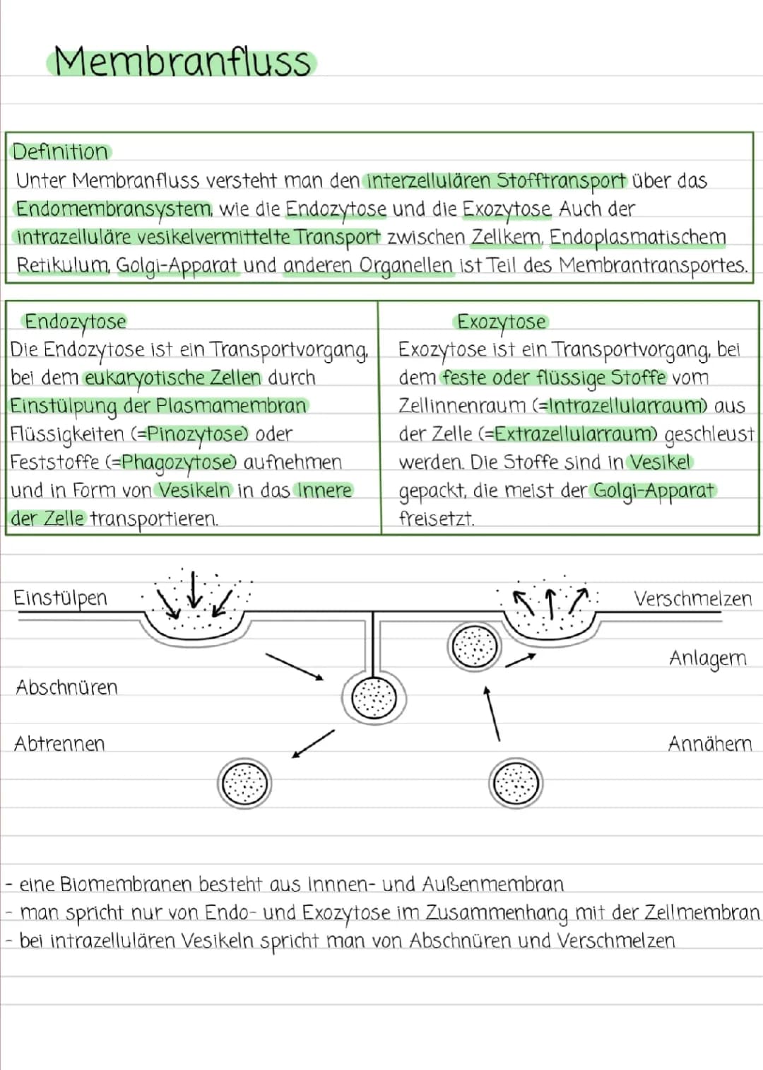 Membranfluss