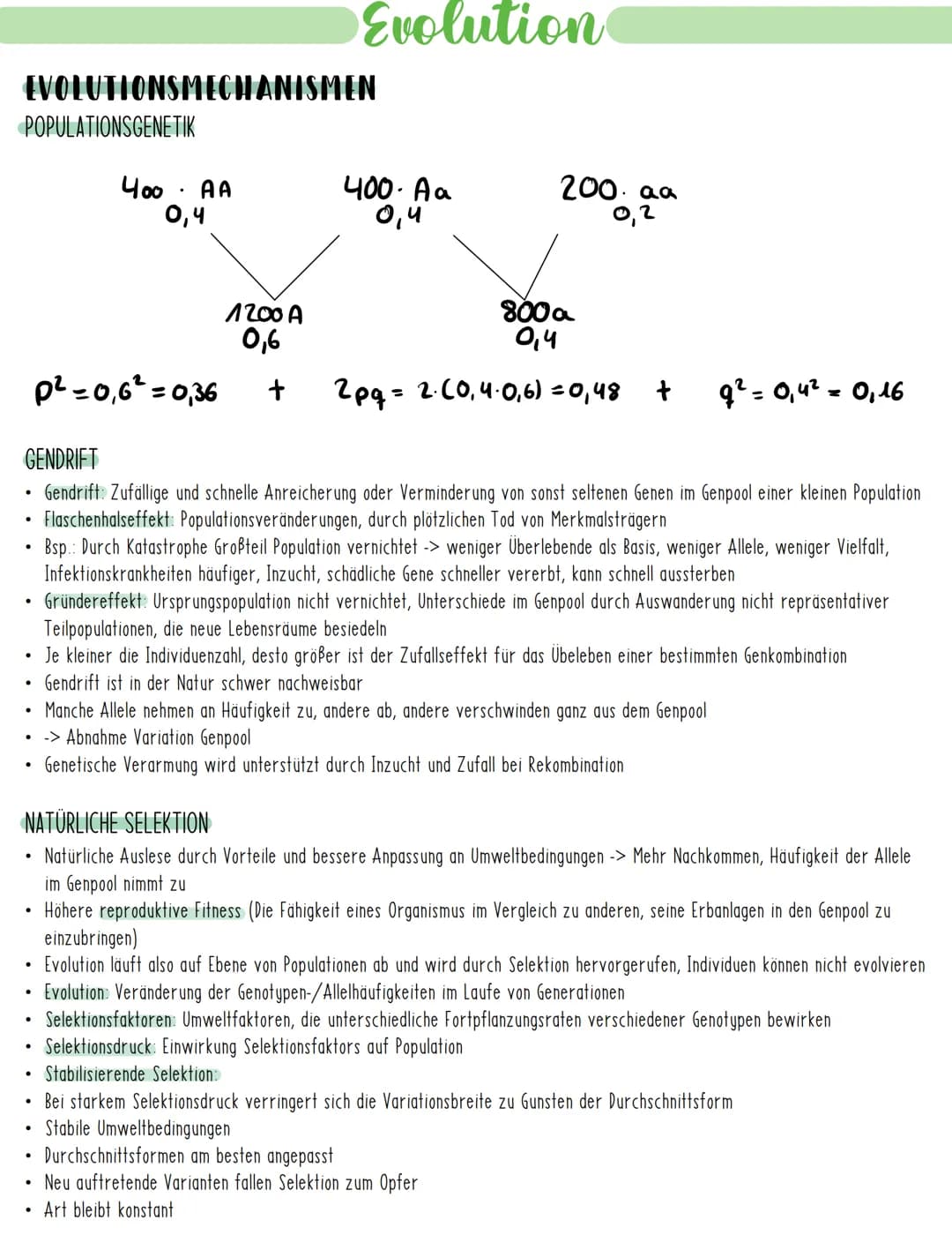 Evolution
EVOLUTIONSMECHANISMEN
GENETISCHE VARIABILITÄT
Entstehung von Arten durch Evolutionsfaktoren, welche die Ursachen der Variabilität 