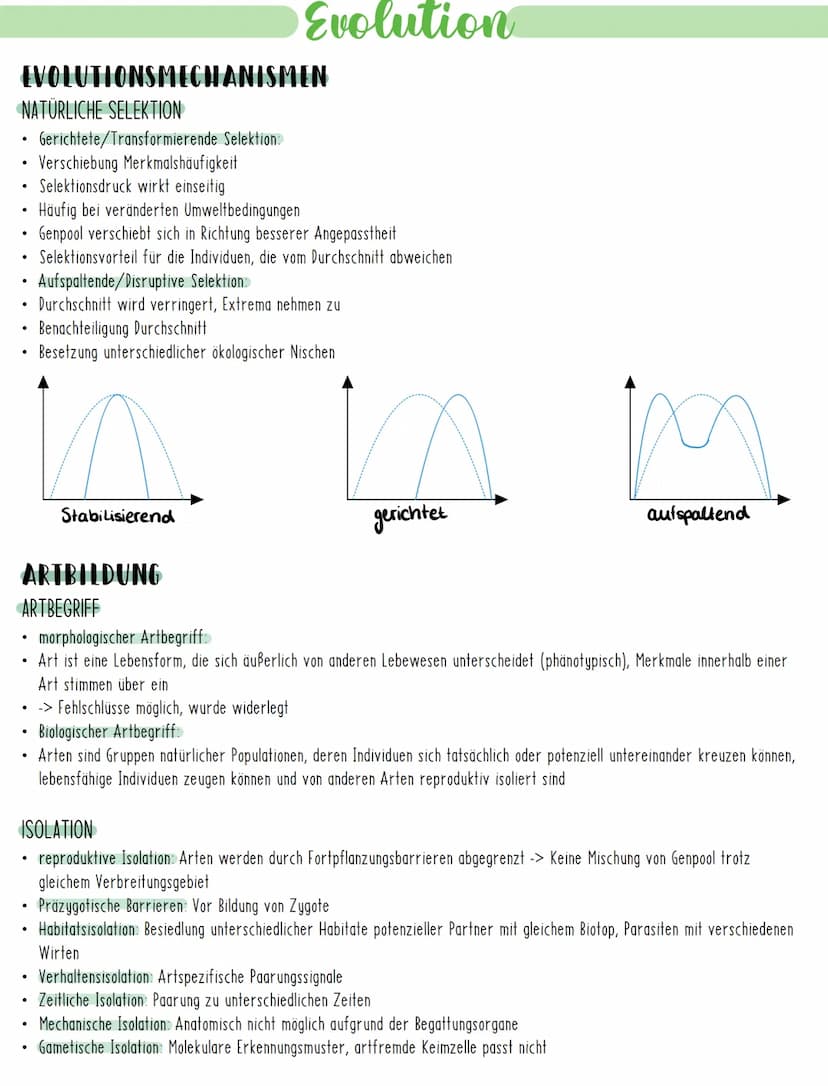 Evolution
EVOLUTIONSMECHANISMEN
GENETISCHE VARIABILITÄT
Entstehung von Arten durch Evolutionsfaktoren, welche die Ursachen der Variabilität 