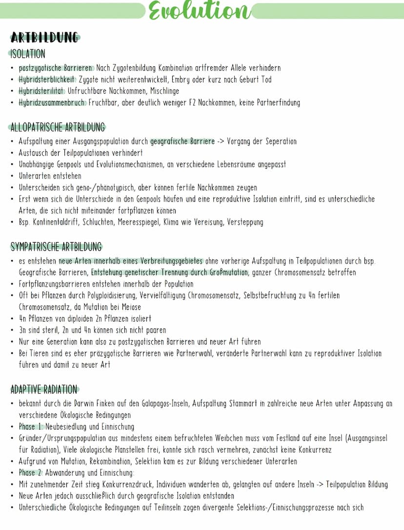 Evolution
EVOLUTIONSMECHANISMEN
GENETISCHE VARIABILITÄT
Entstehung von Arten durch Evolutionsfaktoren, welche die Ursachen der Variabilität 