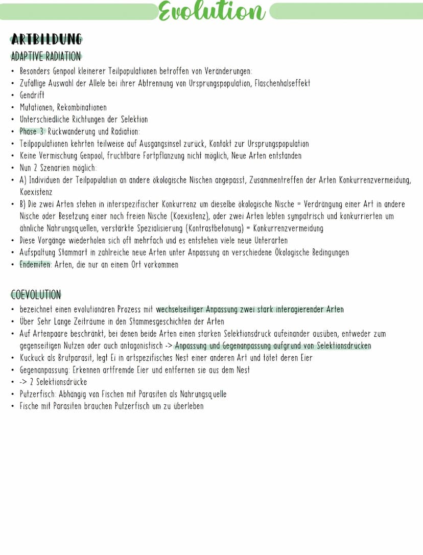 Evolution
EVOLUTIONSMECHANISMEN
GENETISCHE VARIABILITÄT
Entstehung von Arten durch Evolutionsfaktoren, welche die Ursachen der Variabilität 