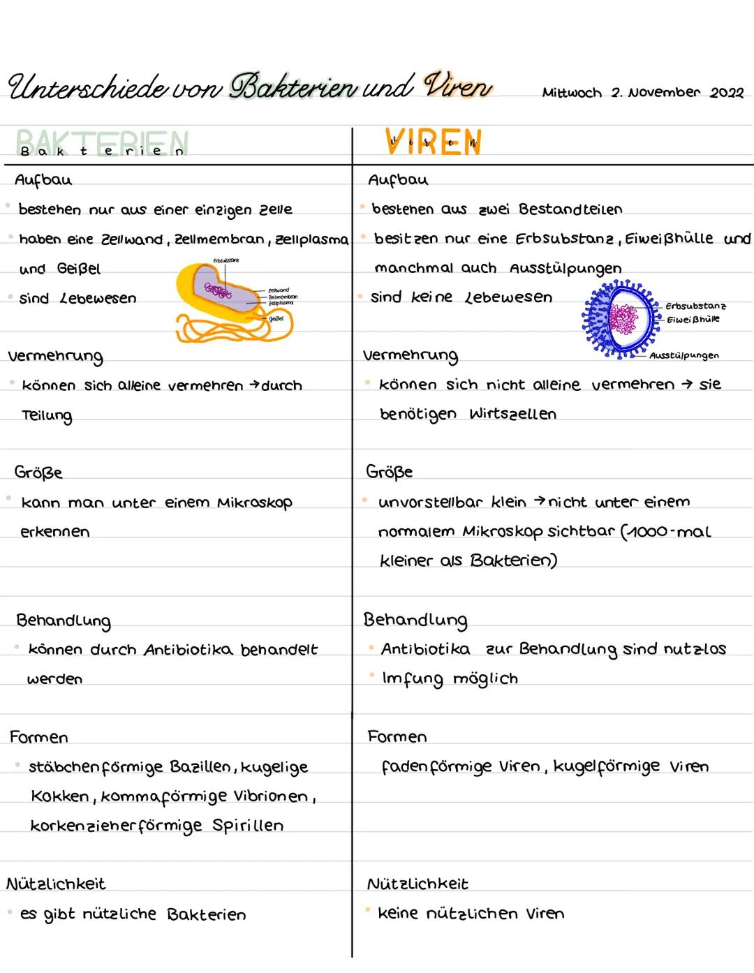Unterschiede von Bakterien und Viren

BAKTERIEN
Aufbau
*   bestehen nur aus einer einzigen Zelle
*   haben eine Zellwand, Zellmembran, Zellp