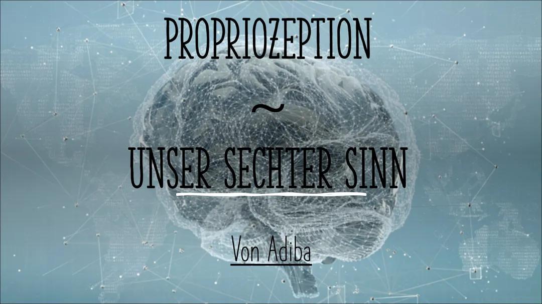 Sechste Sinn  - Propriozeption (PPP)