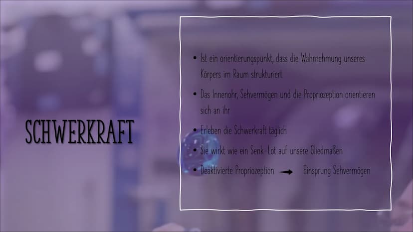 Die Schwerkraft
Die Schwerkraft ist ein Orientierungspunkt, ein Senklot, dass die Wahrnehmung unseres
Körpers im Raum strukturiert.
Da wir u