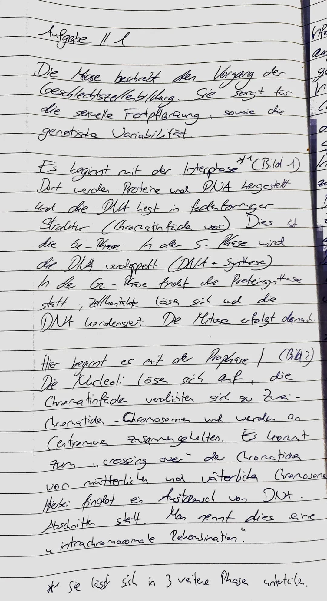 1. Klausur des Q1-Biologie-Grundkurse 1-3|
12.09.2022
Aufgabe 1: Stammbaumanalyse am Beispiel des TAY-SACHS-Syndroms
Name:
Nils Rosenberger
