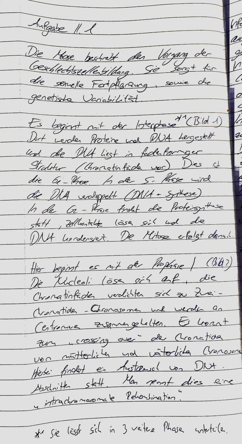 1. Klausur des Q1-Biologie-Grundkurse 1-3|
12.09.2022
Aufgabe 1: Stammbaumanalyse am Beispiel des TAY-SACHS-Syndroms
Name:
Nils Rosenberger
