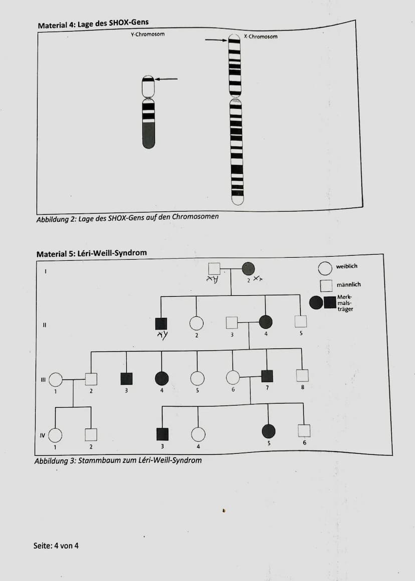 1. Klausur des Q1-Biologie-Grundkurse 1-3|
12.09.2022
Aufgabe 1: Stammbaumanalyse am Beispiel des TAY-SACHS-Syndroms
Name:
Nils Rosenberger
