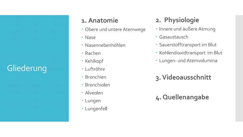 Atmungssystem
Anatomie &
Physiologie Gliederung
1. Anatomie
• Obere und untere Atemwege
●
Nase
●
●
Rachen
• Kehlkopf
●
Luftröhre
• Bronchien