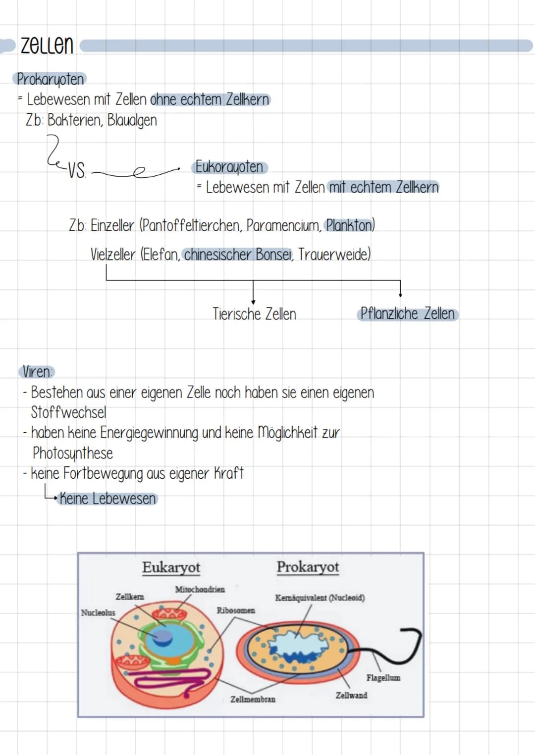 kennzeichen von Lebewesen
Körpergestalt und Wachstum
- unverwechselbare Gestalt
- Lebewesen wachsen
२
2. Bewegung aus eigener Kraft
- Bewegu