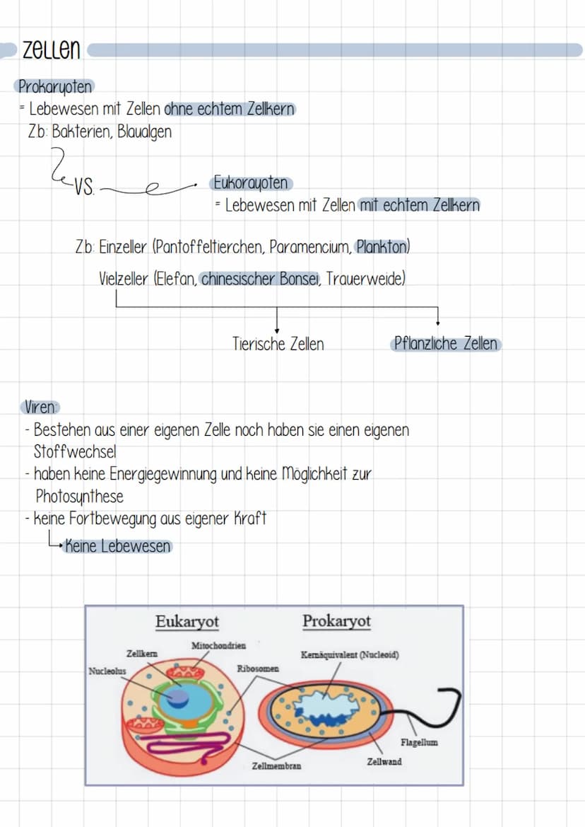 kennzeichen von Lebewesen
Körpergestalt und Wachstum
- unverwechselbare Gestalt
- Lebewesen wachsen
२
2. Bewegung aus eigener Kraft
- Bewegu