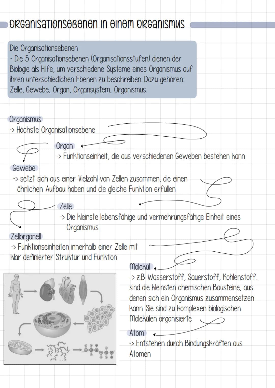 kennzeichen von Lebewesen
Körpergestalt und Wachstum
- unverwechselbare Gestalt
- Lebewesen wachsen
२
2. Bewegung aus eigener Kraft
- Bewegu