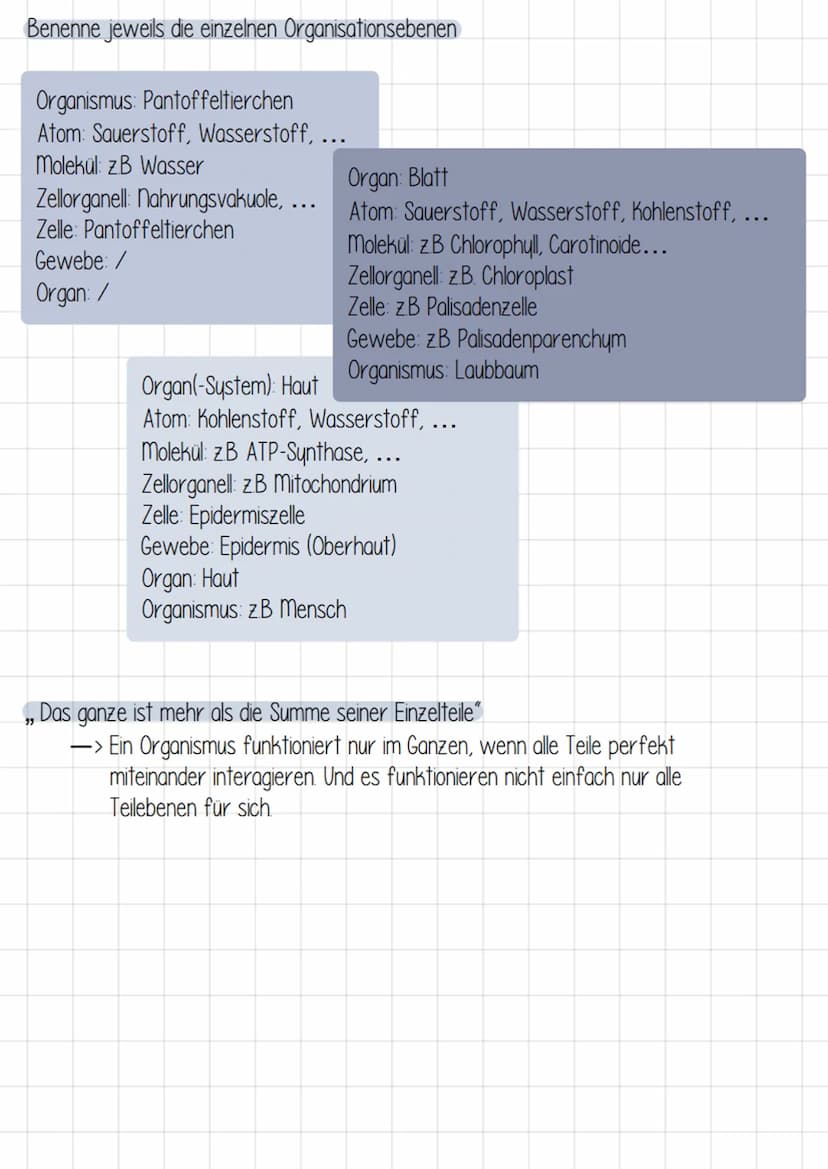 kennzeichen von Lebewesen
Körpergestalt und Wachstum
- unverwechselbare Gestalt
- Lebewesen wachsen
२
2. Bewegung aus eigener Kraft
- Bewegu