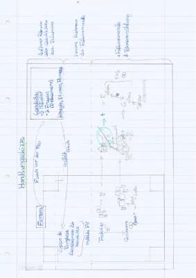Know Falkennovelle (Handlungsskizze) thumbnail