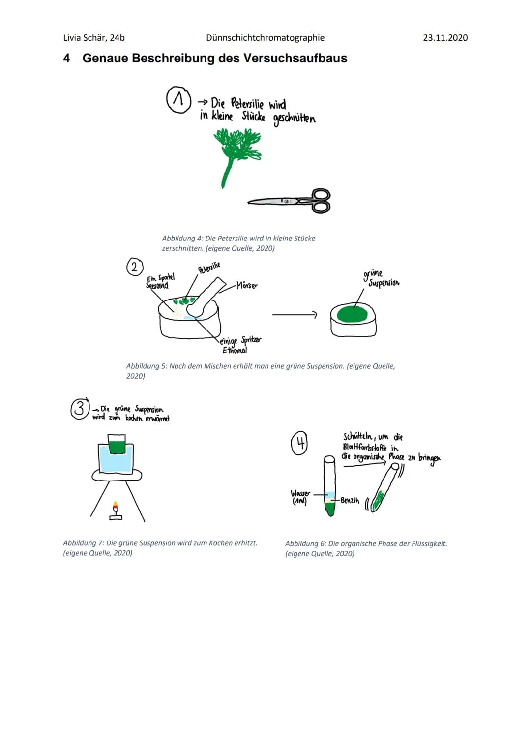 Livia Schär, 24b
Dünnschichtchromatographie
Stoofen
Abbildung 2: Chromatographische Trennung der Blattfarbstoffe
Abbildung 3: Veränderung de