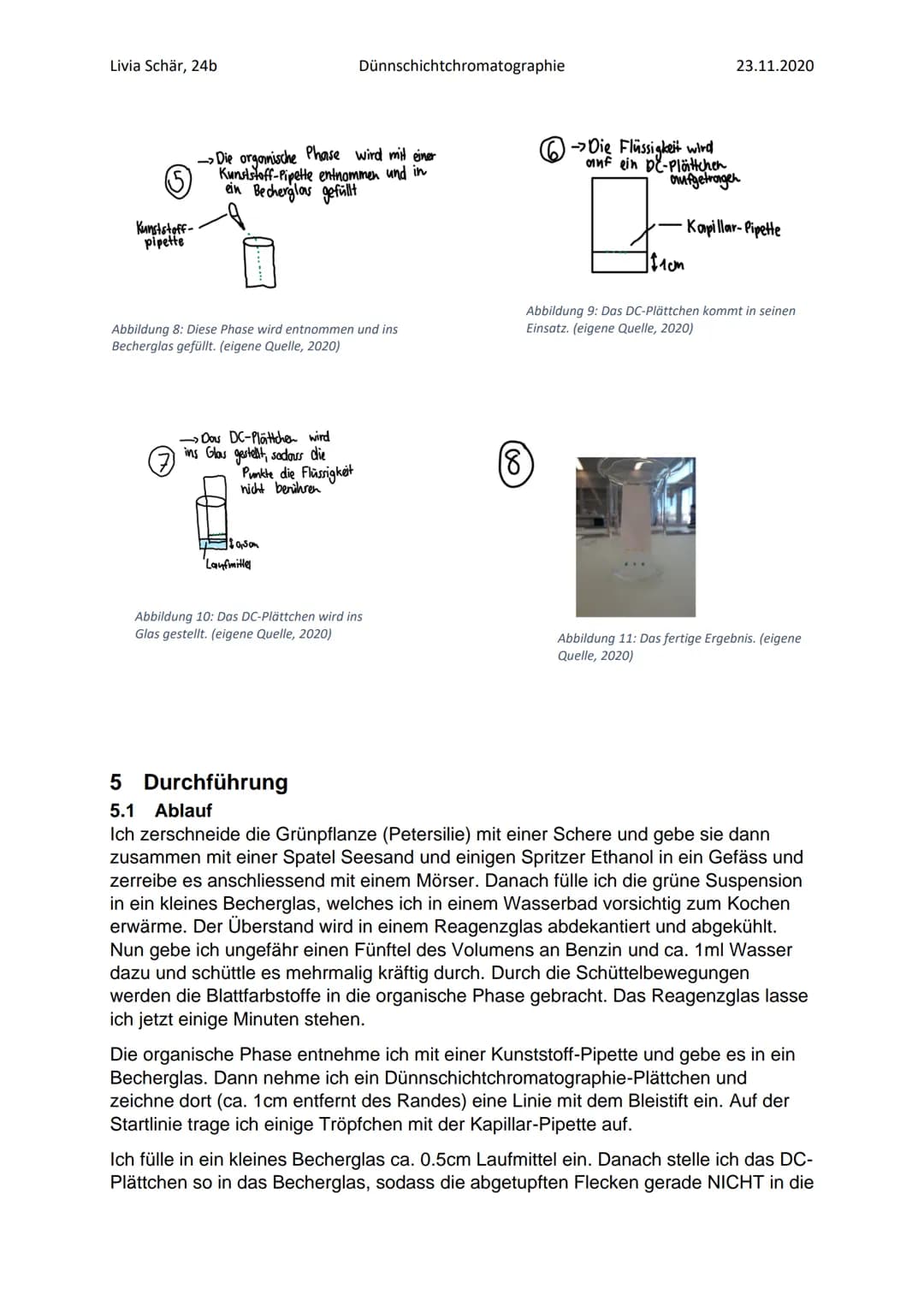 Livia Schär, 24b
Dünnschichtchromatographie
Stoofen
Abbildung 2: Chromatographische Trennung der Blattfarbstoffe
Abbildung 3: Veränderung de