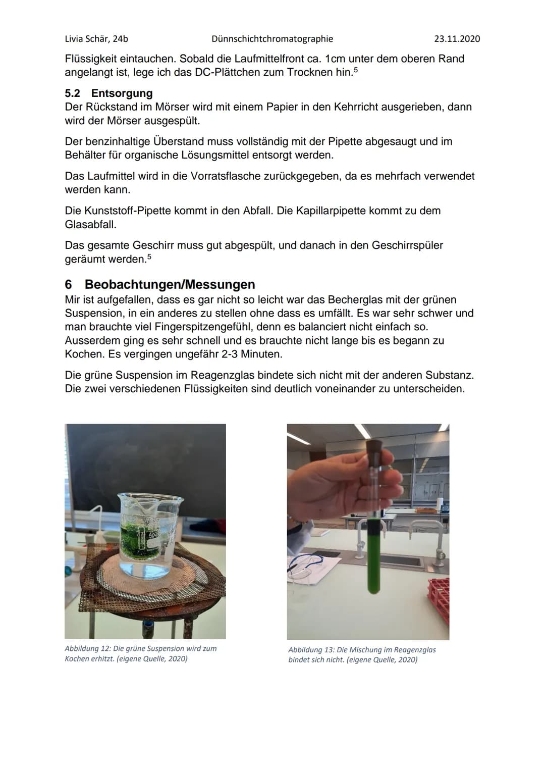 Livia Schär, 24b
Dünnschichtchromatographie
Stoofen
Abbildung 2: Chromatographische Trennung der Blattfarbstoffe
Abbildung 3: Veränderung de