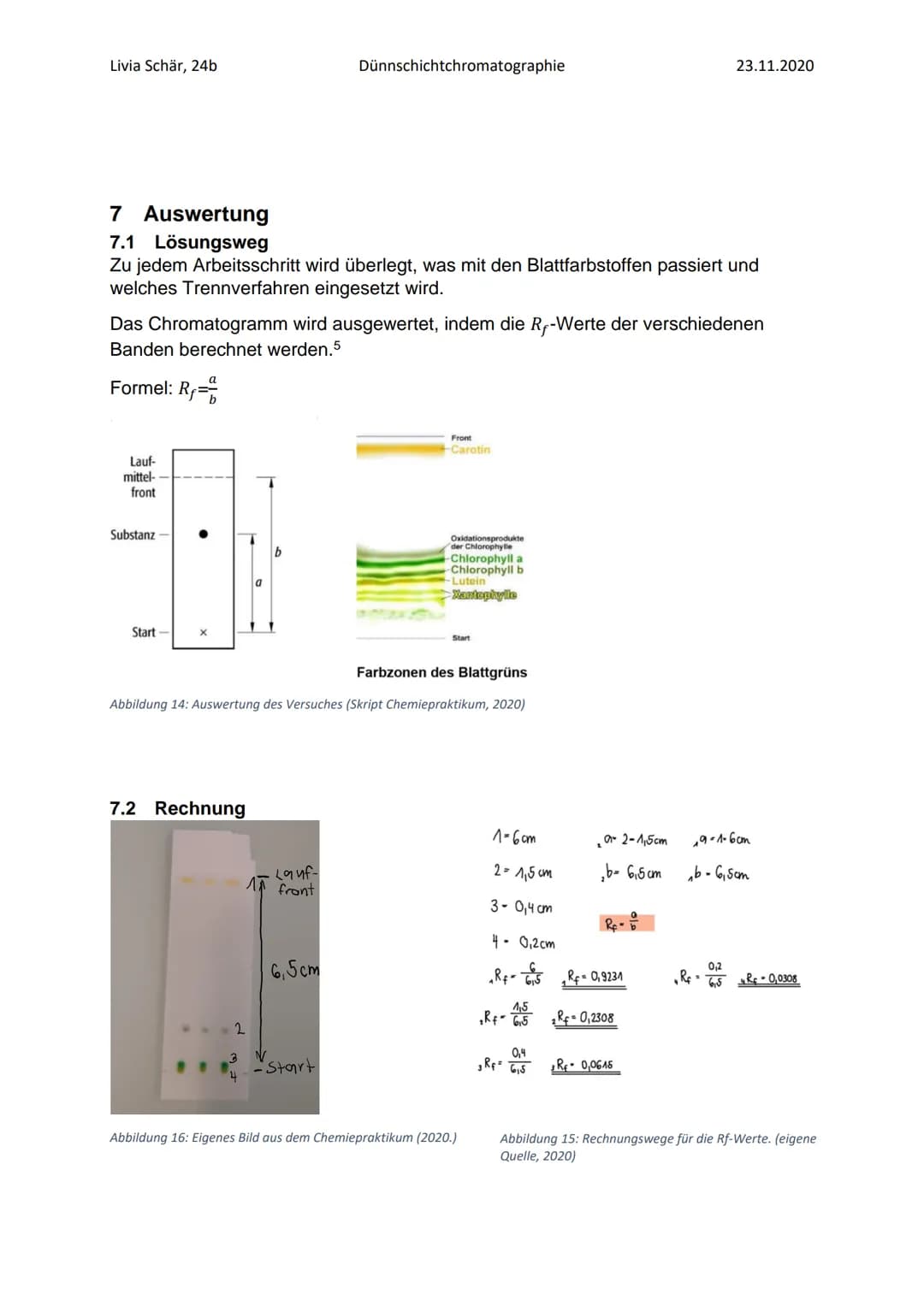 Livia Schär, 24b
Dünnschichtchromatographie
Stoofen
Abbildung 2: Chromatographische Trennung der Blattfarbstoffe
Abbildung 3: Veränderung de