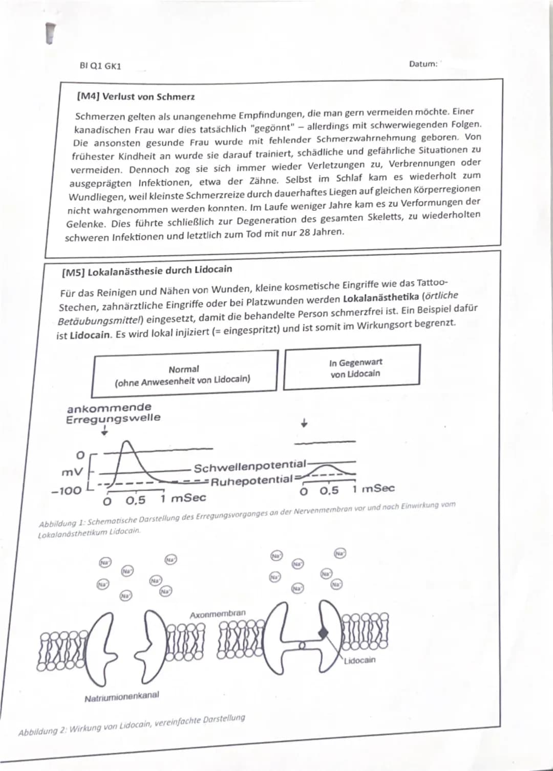 BI Q1 GK1
Biologie Klausur Nr. 1
Name:
Datum:
Hinweise zur Klausur:
135 Minuten Bearbeitungszeit
- Schreiben Sie auf Klausurbögen und lassen