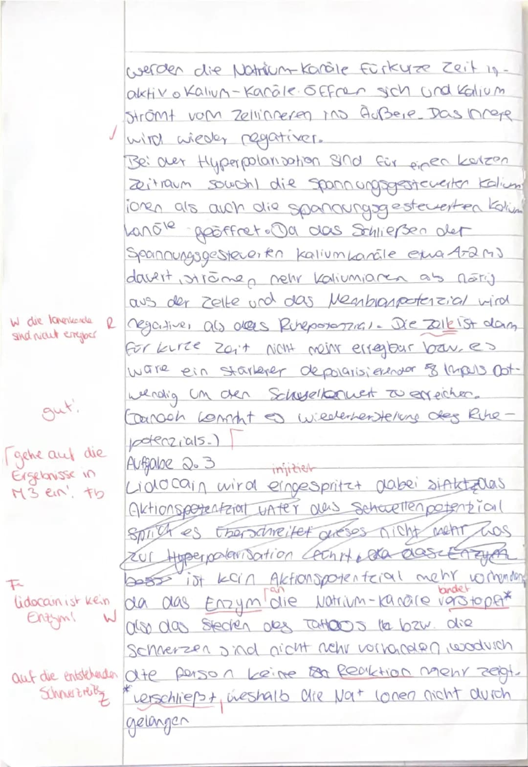 BI Q1 GK1
Biologie Klausur Nr. 1
Name:
Datum:
Hinweise zur Klausur:
135 Minuten Bearbeitungszeit
- Schreiben Sie auf Klausurbögen und lassen