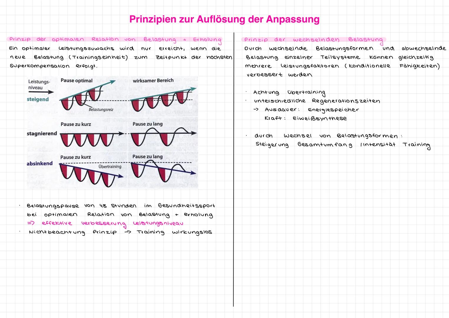 Sport und Training
Erhaltung / Verbesserung körperlichen Leistungsfähigkeit
Trainingsziel! => andere
Belastungsformen
Belastungsformen
körpe