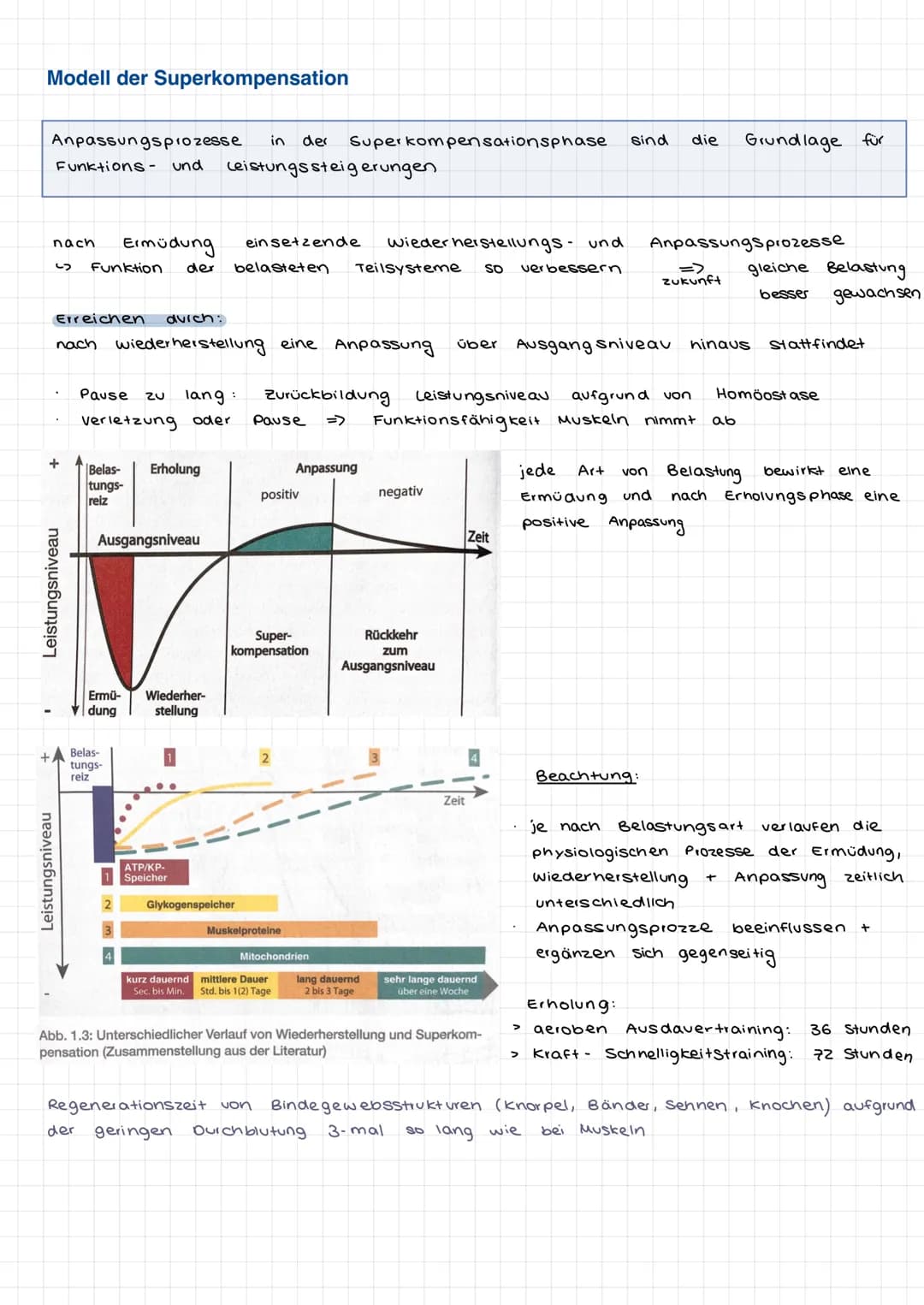 Sport und Training
Erhaltung / Verbesserung körperlichen Leistungsfähigkeit
Trainingsziel! => andere
Belastungsformen
Belastungsformen
körpe