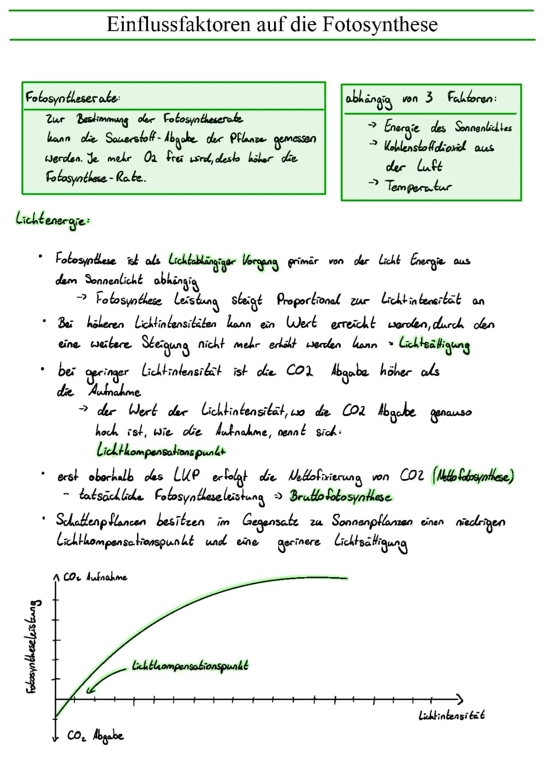 Einflussfaktoren auf die Fotosynthese 