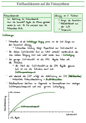 Know Einflussfaktoren auf die Fotosynthese  thumbnail