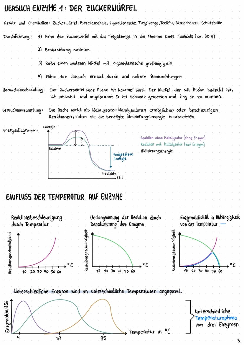 Bio-Chemie B Enzyme
AMINOSÄUREN
sind chemische Verbindungen, welche aus einer
Aminogruppe und einer Carboxylgruppe bestehen
sind sowohl Säur