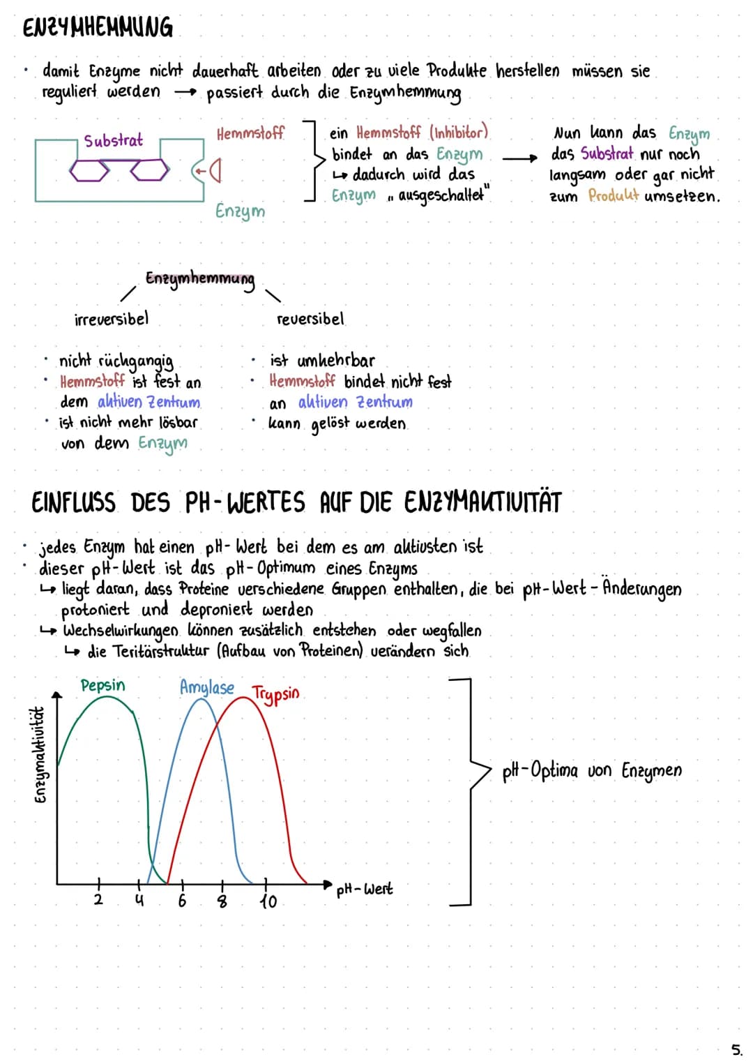 Bio-Chemie B Enzyme
AMINOSÄUREN
sind chemische Verbindungen, welche aus einer
Aminogruppe und einer Carboxylgruppe bestehen
sind sowohl Säur