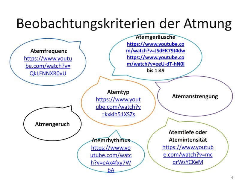 Klientinnen und Klienten bei der
Atmung unterstützen
Handlungskompetenz B.4
Fachfrau / Fachmann Gesundheit Wahrnehmung, Beobachtung,
Interpr