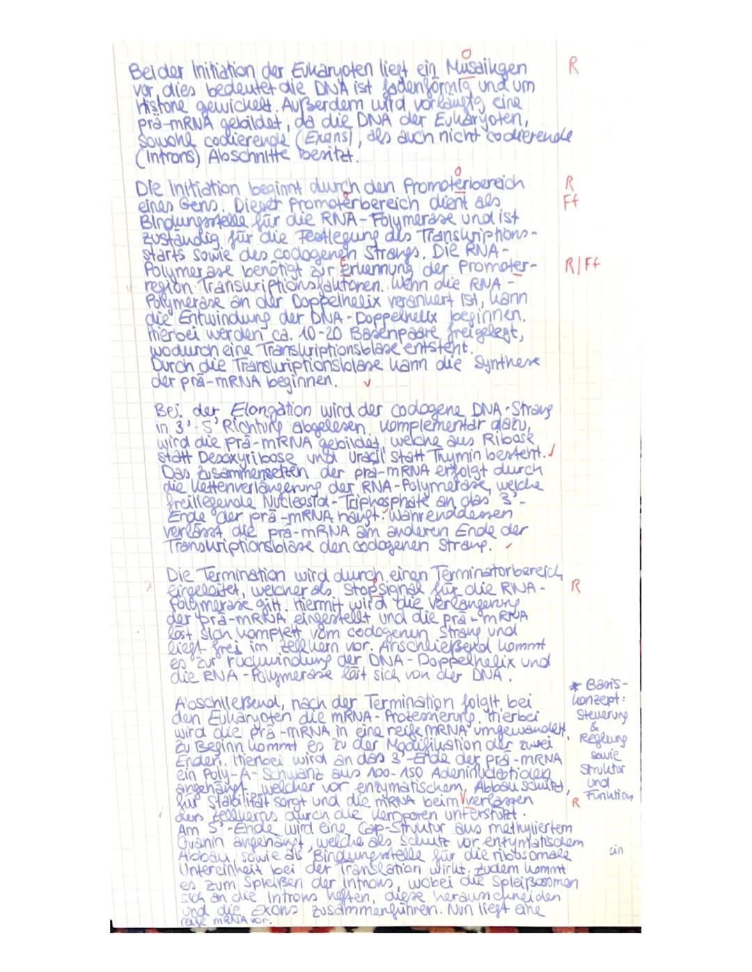 Aufgabe 1: Ein-Gen-ein-Polypeptid- Hypothese
(aus Biosphäre Genetik - Sekundarstufe II, Cornelsen Verlag, 2017)
115/15]
✔a) Erläutern Sie, w