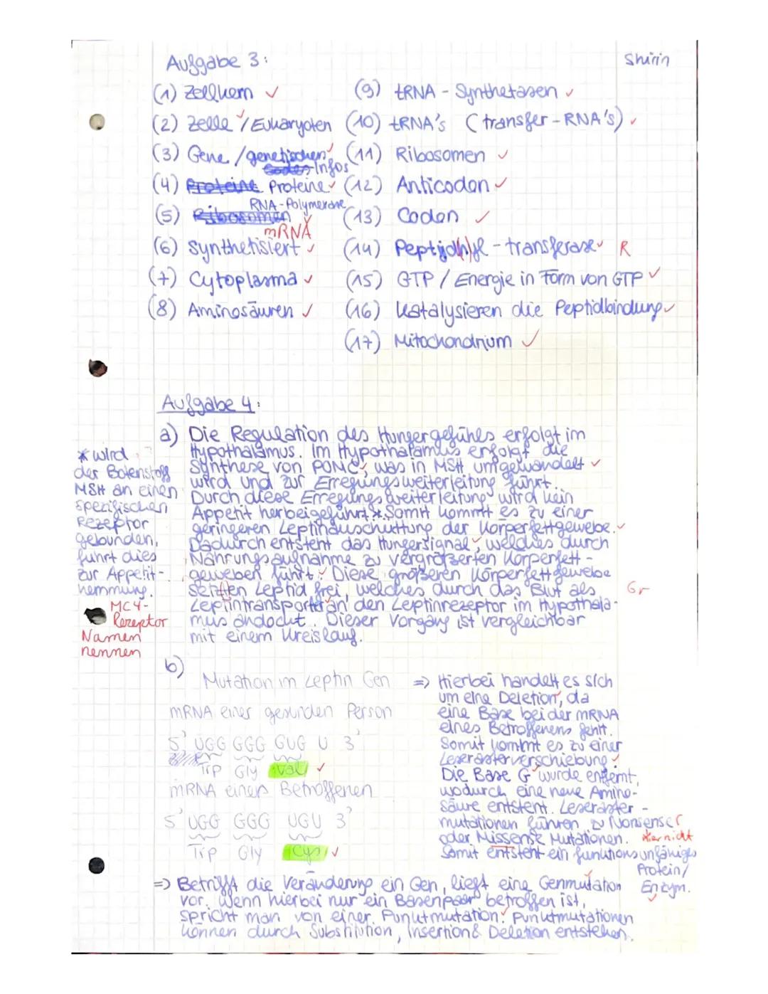 Aufgabe 1: Ein-Gen-ein-Polypeptid- Hypothese
(aus Biosphäre Genetik - Sekundarstufe II, Cornelsen Verlag, 2017)
115/15]
✔a) Erläutern Sie, w
