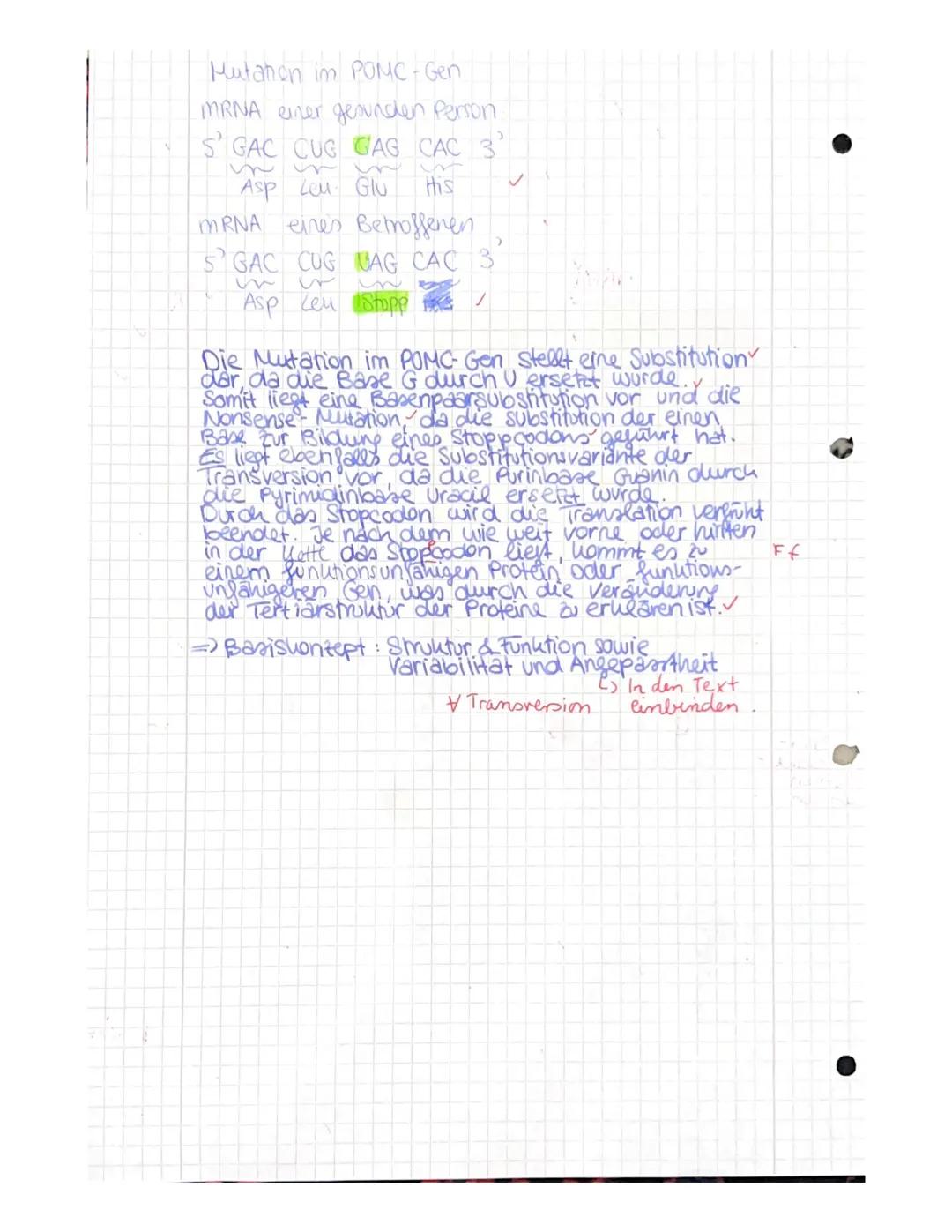 Aufgabe 1: Ein-Gen-ein-Polypeptid- Hypothese
(aus Biosphäre Genetik - Sekundarstufe II, Cornelsen Verlag, 2017)
115/15]
✔a) Erläutern Sie, w