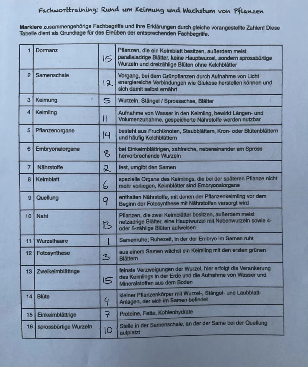 Keimung und Wachstum von Pflanzen 