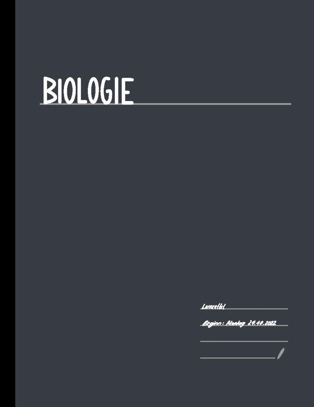 Biologie Vorabi Lernzettel Neurobiologie