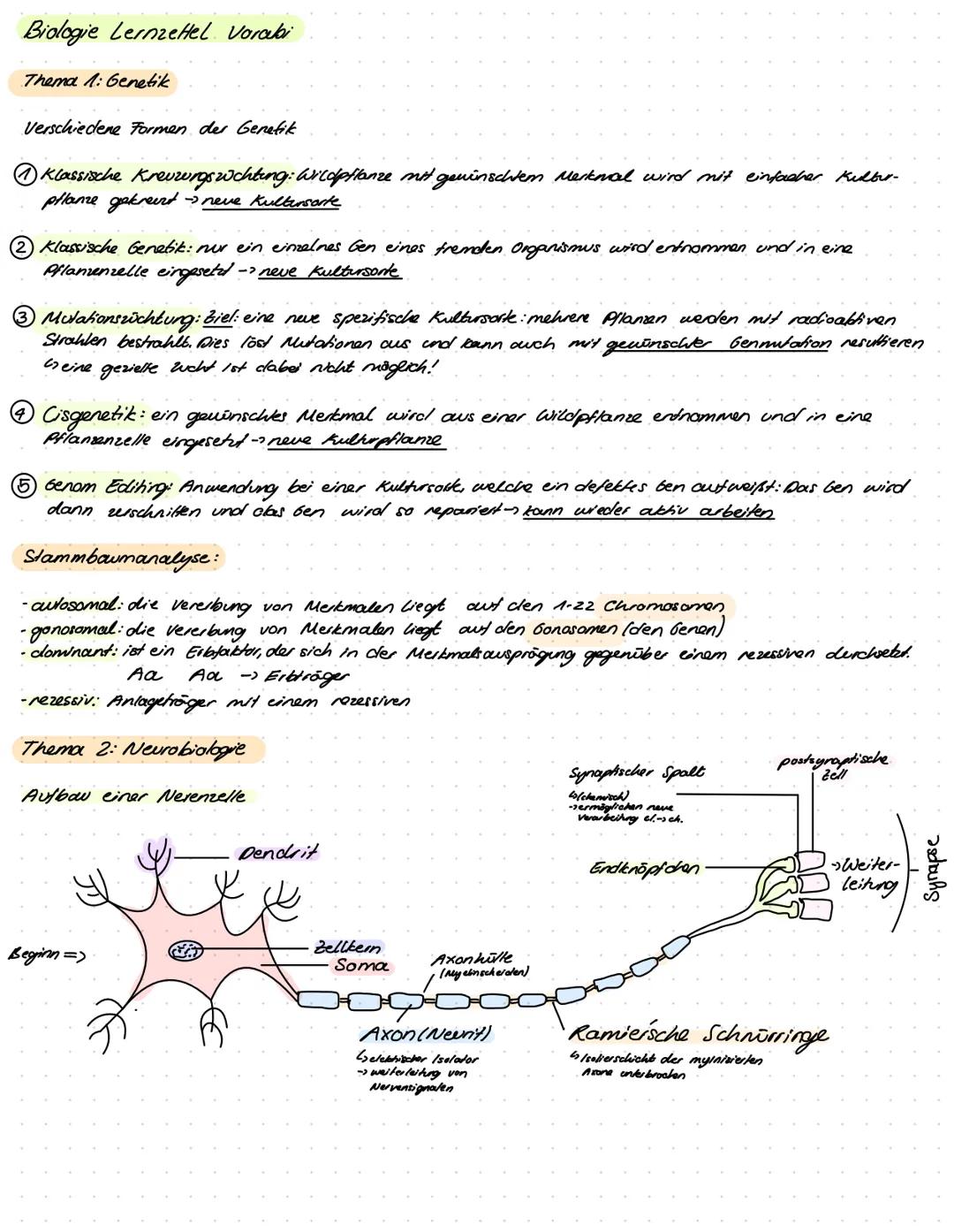 BIOLOGIE
Lernzettel
Beginn: Montag 24.10.2022 Biologie LernzeHel Vorabi
Thema 1: Genetik
Verschiedene Formen der Genetik
Klassische Kreuzung