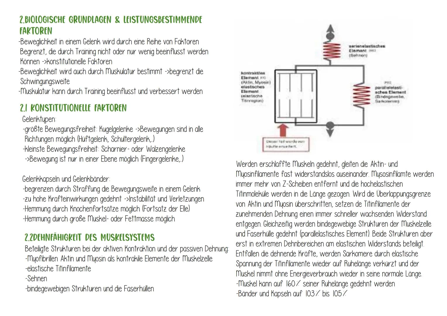 BEWEGLICHKEIT
1.BEDEUTUNG DER BEWEGLICHKEIT
Beweglichkeit ist die Fähigkeit, Bewegungen mit großer Schwingungsweite
auszuführen zu können
BE