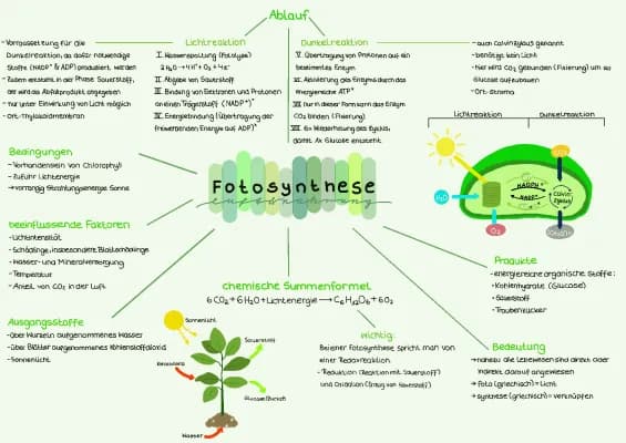 Know Fotosynthese-Mindmap thumbnail