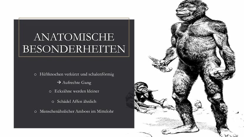
<h2 id="dieentwicklungdesmenschenindergeschichtederklasse5">Die Entwicklung des Menschen in der Geschichte der Klasse 5</h2>
<p>Die menschl