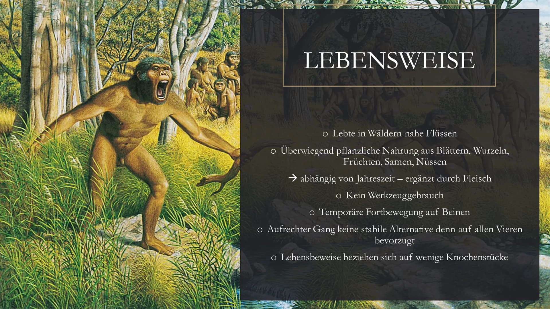 
<h2 id="dieentwicklungdesmenschenindergeschichtederklasse5">Die Entwicklung des Menschen in der Geschichte der Klasse 5</h2>
<p>Die menschl