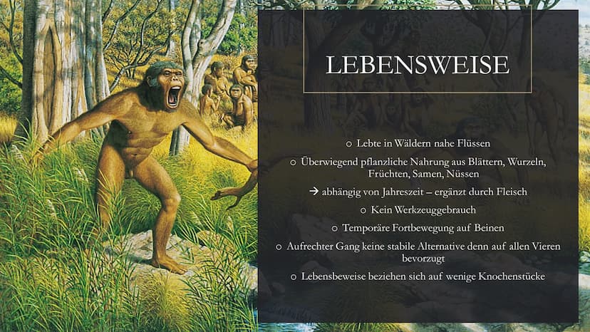
<h2 id="dieentwicklungdesmenschenindergeschichtederklasse5">Die Entwicklung des Menschen in der Geschichte der Klasse 5</h2>
<p>Die menschl