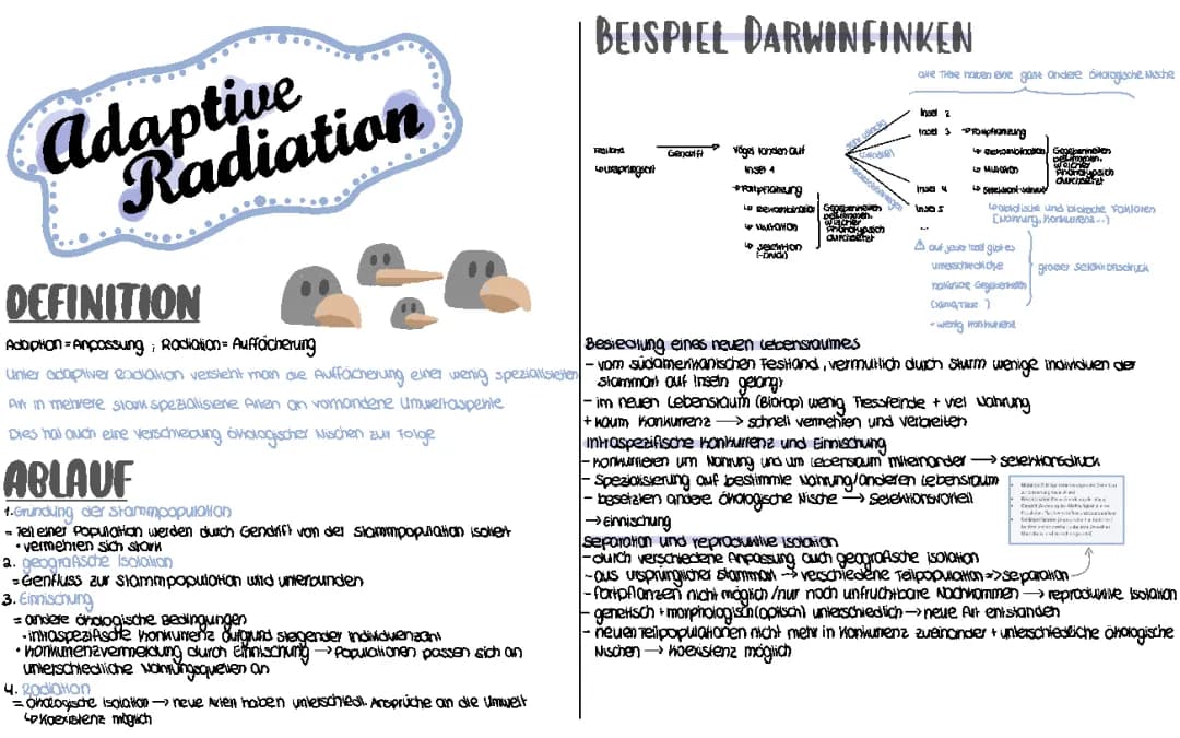 adaptive Radiation