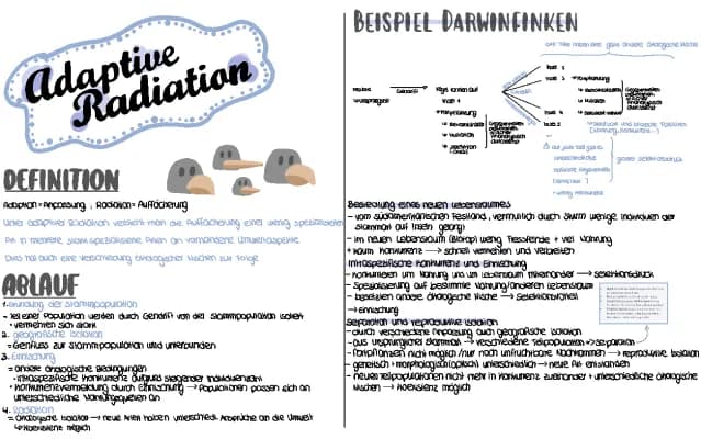 Know adaptive Radiation thumbnail